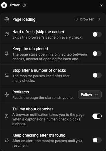 The Other options section.